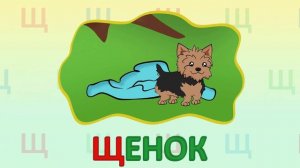 ИГРАЕМ СО СЛОВАМИ НА БУКВУ Щ