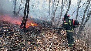 Сразу в 12 регионах России идет борьба с огнем, который распространился на тысячи гектаров.
