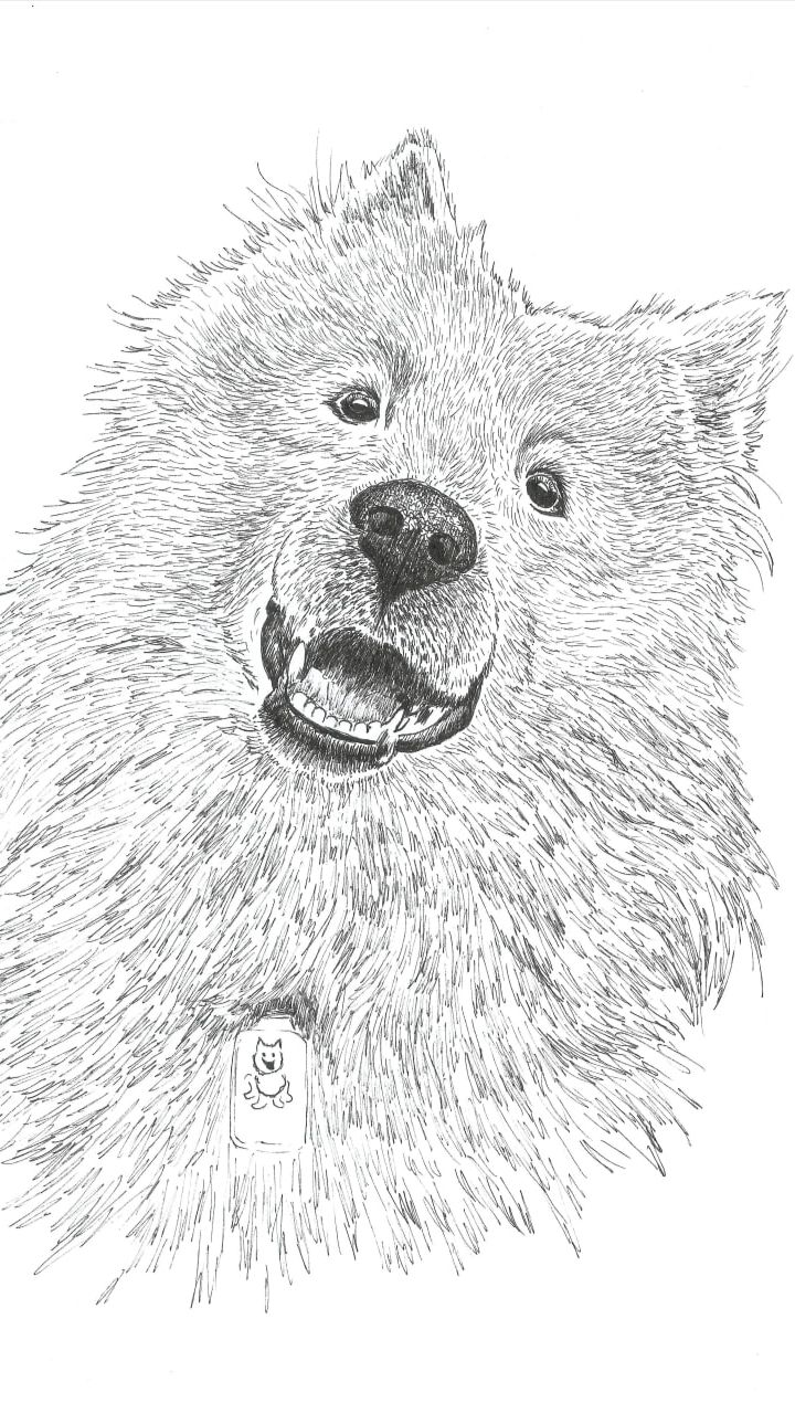 Пёс Черныш (Alev Art)