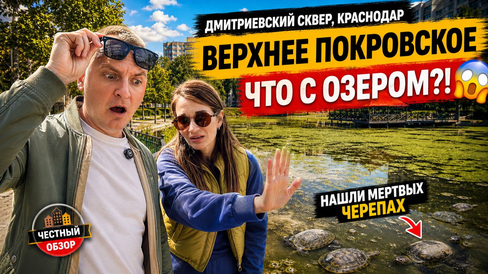 Дмитриевский сквер Краснодар — ЧТО СЛУЧИЛОСЬ С ЧЕРЕПАХАМИ? 😱