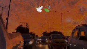 ✌️✌️видео не брать лищнюу дума Тути адо муй