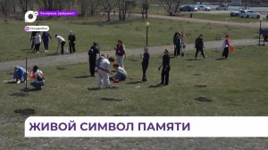 Уссурийский округ присоединился ко всероссийской акции «Сад памяти»