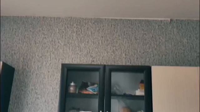 2831.mp4 смотреть онлайн