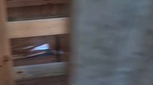 1000057538.mp4 (Собака наблюдает за устройством лестницы на 2-ой этаж в доме А-фрейм)