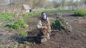 Помогаем Аннушке на огороде