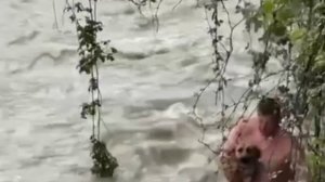 Сочинец спас тонущего щенка 

После обильных осадков река поднялась, разбушевалась и стала сносить в