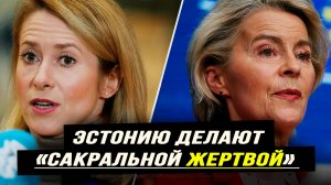 Зачем глобалисты провоцируют Россию. Илья Титов