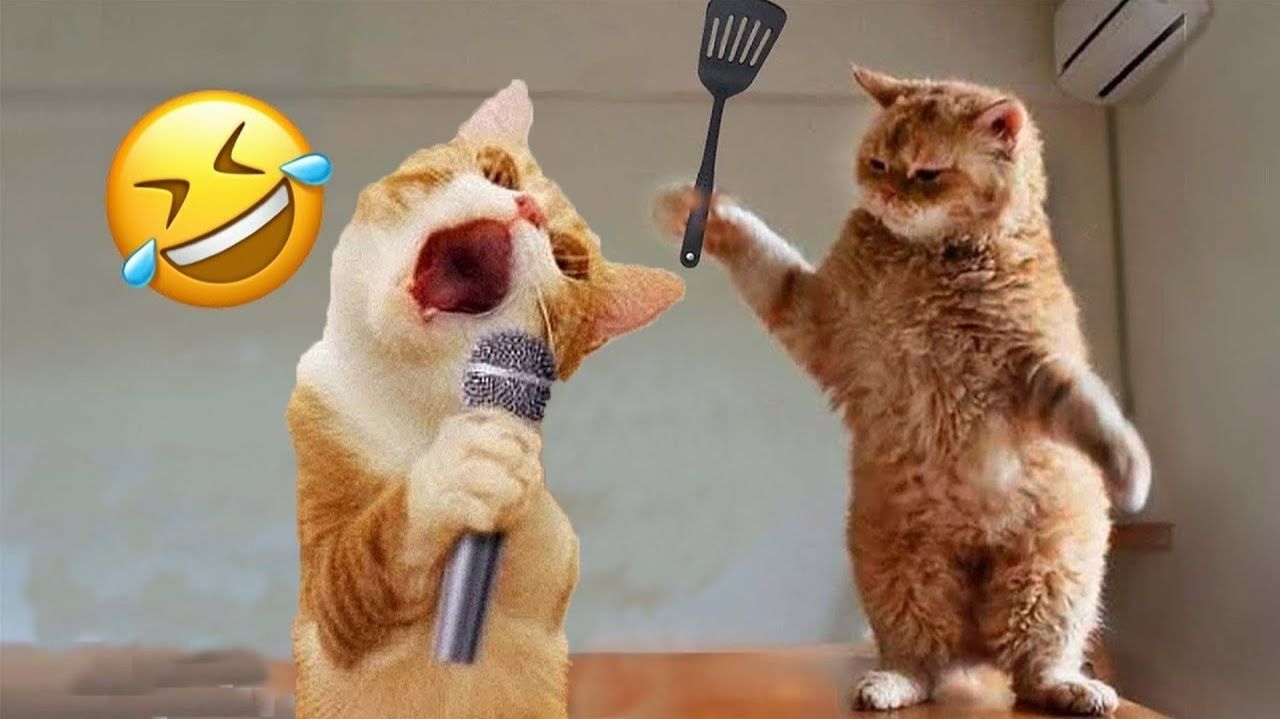 Самые смешные собаки и кошки 2026 года😼🐶Постарайтесь не смеяться😜