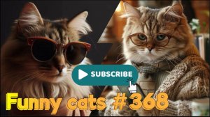 Смешные коты #368