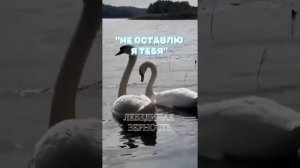 « Не оставлю Я Тебя»