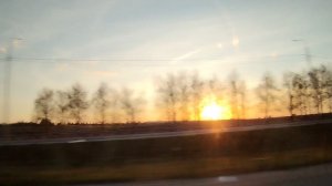 Лиза