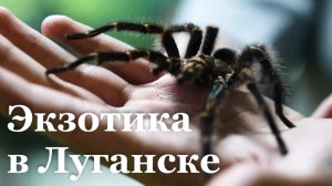 В Луганске стартовала выставка экзотических животных