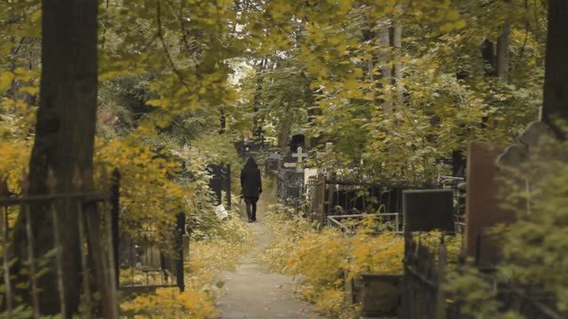Триба - Улица мёртвых поэтов (анонс)