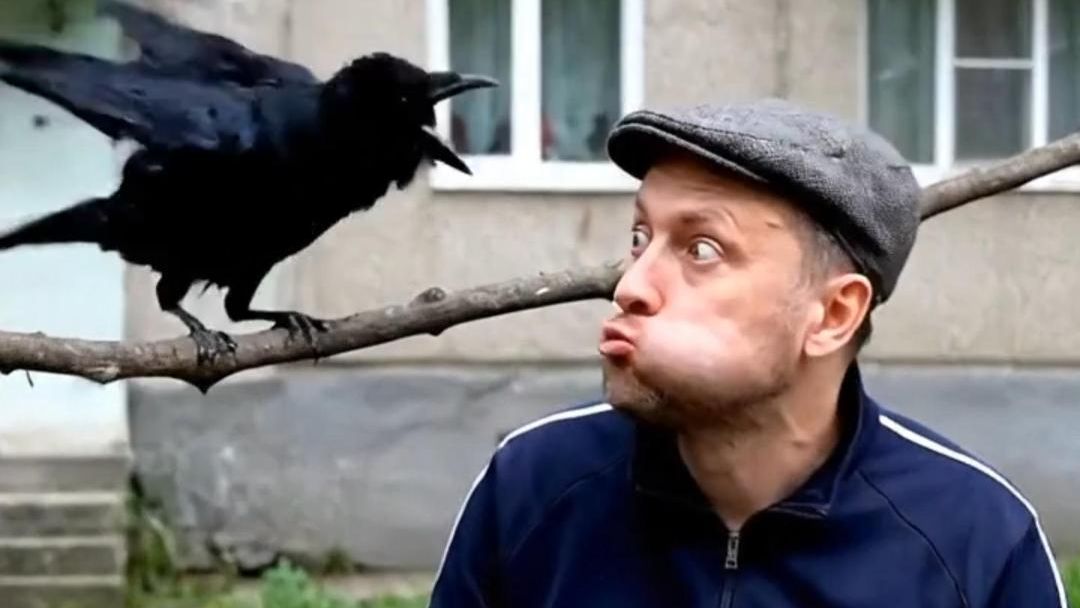 «Животные — наши маленькие друзья-непоседы»!