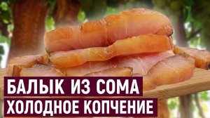 Балык из СОМа холодного копчения I Астраханский СОМ I Коптильни ИП Федотов А.В.