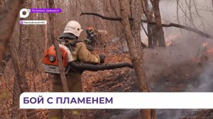 Борьбу с лесными пожарами ведут в Ханкайском округе