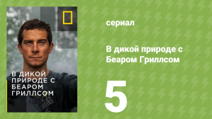В дикой природе с Беаром Гриллсом 1 сезон 5 серия (реалити-шоу, 2015)