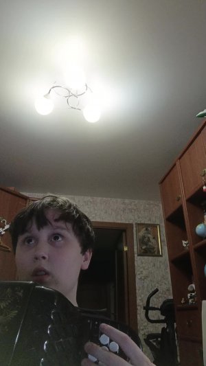 баян