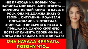 Брат сказал Пропусти Новый год, твоя жизнь — позор. А потом его невеста вошла в мой зал заседаний