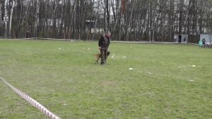 05-02-2026_ЧР по БРР Шестой участник 4 этап