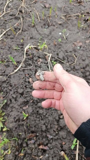 Находки на грядках #shorts #находкисметаллоискателем  #metaldetecting #вогороде #другаяжизнь