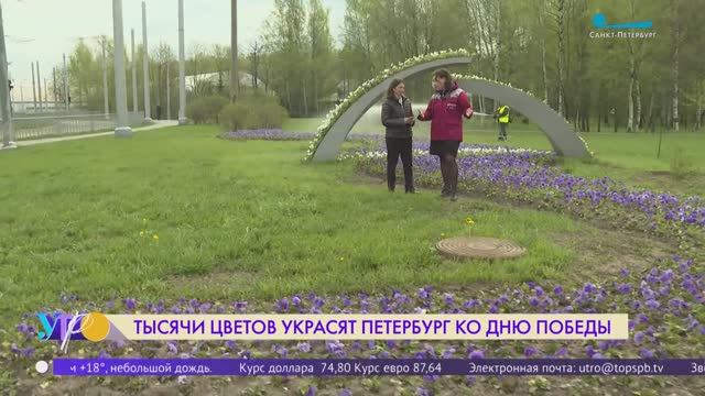 Цветник «Разорванное кольцо» в Красногвардейском районе