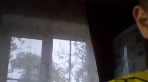 зоопарк зверятышей