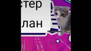 серик эдит