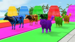 Long Slide Game With Cow Elephant Gorilla Hippopotamus Tiger - 3d Animal Game - Funny 3d Animals_par