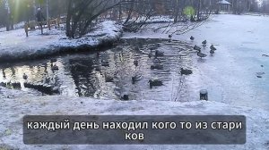 « ОБМАН И ПОТЕРИ « история о любви