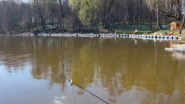 04.05.26 г. РК Волна. смотреть онлайн