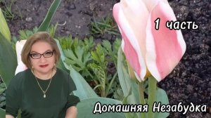 1 часть. Куда ты лезешь, НУЛЕВОЙ ПАЦИЕНТ❓️Силёнок то хватит❓️