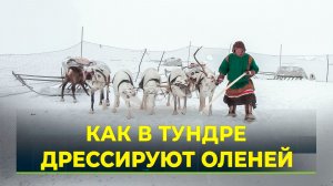 Характер важнее скорости