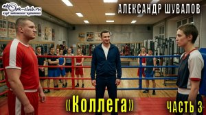 06.03 Александр Шувалов «Боевые псы империи» (книга 6) «Коллега» (часть 3)