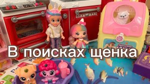 В поисках щенка