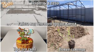 Из зимы в лето. Работа над теплицей. Торт для сына 🎂 Новые саженцы. Обработали участок от клещей
