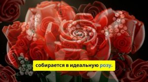 Собери идеальный букет сам