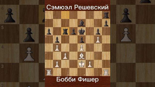 Бобби Фишер vs. Самуэль Решевский (1962) — Мастер-класс в 5-м туре чемпионата США