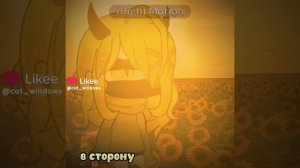 Это подсолнухи!