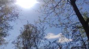 4 мая  ☀️ подарок от волшебника