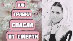 ТРАВКА. Рассказ о превращении _Савла в Павла_. Очень интересная история. Автор - Николай Блохин