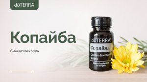 DoTERRA Копайба - масло от 100 болезней . Обзор от Арома - колледжа Ольги Малаховой.