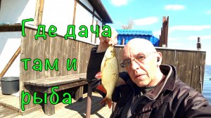 РЫБАЛКА с берега в ЗАПРЕТ. Рыба поперла.