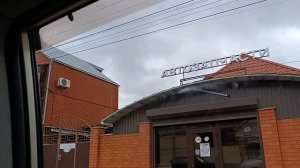 В Победу за кормом для кошек