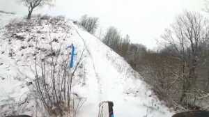 сказочный лес