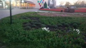 Небольшая прогулка 🚶