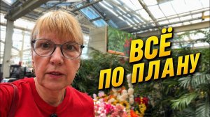 Света и Юрген- КУПИЛИ ЦВЕТЫ И ЗЕМЛЮ-УБРАЛИ НА КЛАДБИЩЕ И СТАЛО ЛЕГЧЕ ☀️