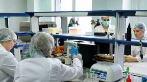 Испытания нового препарата от мигрени стартовали в России