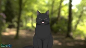 История черного кота