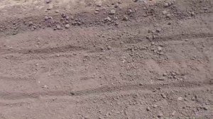 Посев семенами капусты в грунт